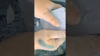 #shorts