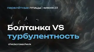 Турбулентность VS болтанка | Как им противостоять в полёте? | Перелётные птицы