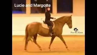 Horse Rider Transformation: Before and After