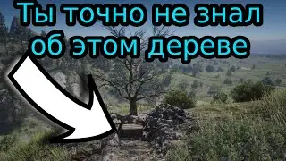Ты точно не знал об этом дереве!