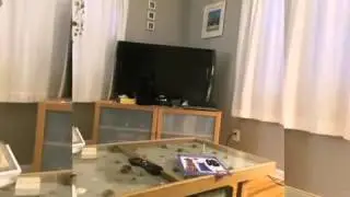 Вот так спрятался!