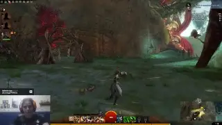 Guild Wars 2