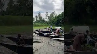 যমুনা চরের মানুষ হাট করে হাট থেকে বাড়ি যাচ্ছে। #হাট #fish #দেশীমাছ #ভোরবাজার #village #বাংলাদেশ