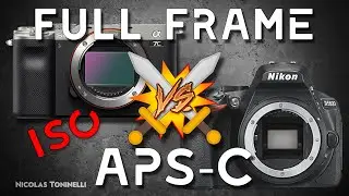 Full Frame VS APS-C | Which will handle high ISOs better?