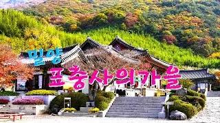 밀양표충사의가을4k | 천황산표충사 | 밀양여행 | 한국의사찰 | Pyochungsa_Temple | Korean_temple