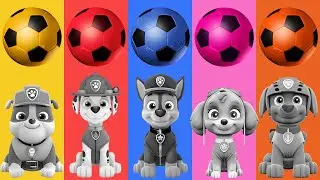PAW Patrol Colored Football Balls | Colors For Kids