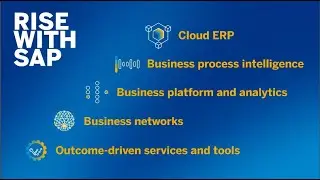 What is RISE with SAP?