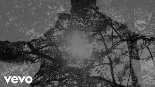 Shabazz Palaces - An Echo From the Hosts that Profess Infinitum [OFFICIAL VIDEO]
