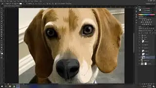 Photoshop Tutorial - Pet Vector Vexel ( Warna Turunan ) ( Bulu Pendek)