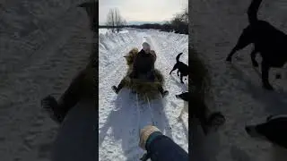 едем едем в далекие края 😂