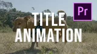 How To CREATE AND ANIMATE TITLES In Premiere Pro In 3 MINUTES (Tutorial For Beginners)