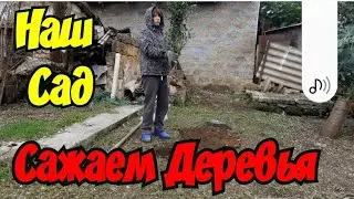 🔴 Дом в Крыму. Наш Новый Сад. Время Высаживать Деревья. Луганск Евпатория