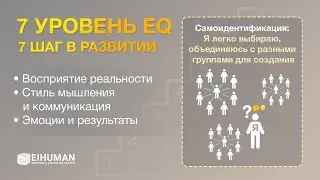7 Уровень EQ: 7-й шаг в развитии (фрагмент)