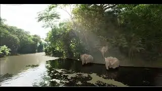 Unreal Engine 5 Анимация персонажа .
