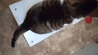 Лизонька поправилась
