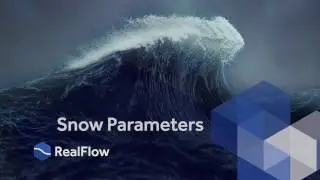 RealFlow 10 Tutorial: Snow Parameters