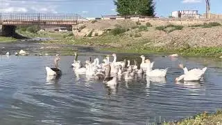 12 сентября 2022 г.