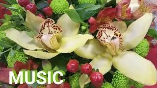 МУЗЫКА ДЛЯ ОТДЫХА И ЗДОРОВЬЯ  🌺 ЦВЕТОТЕРАПИЯ #музыка #music #relax #flowers #trend