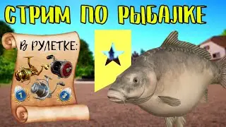 🔴 СТРИМ РР4┃🎁 ВЕНГА В РУЛЕТКЕ, РОЗЫГРЫШИ┃🔥 ОХОТА НА ТРОФЕИ┃maXS1k