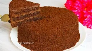 CHOCOLATE CAKE. Chocolate Custard