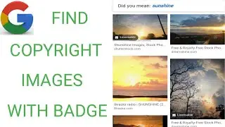 Google licensable badge on images / Google images new feature