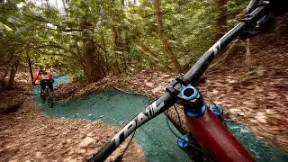 Black Mountain Ripper | Pisgah National Forest | Mountain Bikes