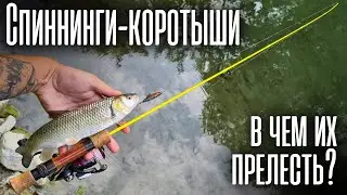 Почему я ловлю КОРОТЫШАМИ? Спиннинги-обрубки