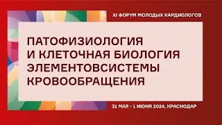 ПАТОФИЗИОЛОГИЯ И КЛЕТОЧНАЯ БИОЛОГИЯ ЭЛЕМЕНТОВСИСТЕМЫ КРОВООБРАЩЕНИЯ
