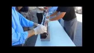 Oktoberfest test cooking a 20 foot Bratwurst