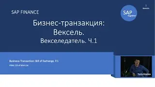 133. SAP Бизнес-транзакция: Вексель ч.1