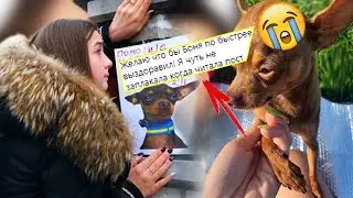 Собака Леди Дианы умирает / Бони нужна операция