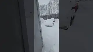 3 января 2024 г.