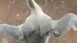 Sevgililer Günü geldiğinde ben 😊