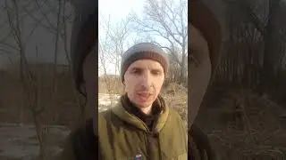 Началось истребление КРС.