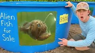 I Bought the World’s RAREST Alien Fish!