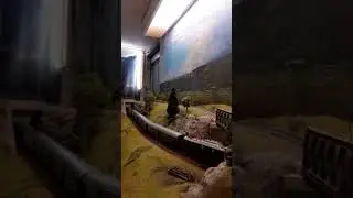plastico Valle Caudina 3