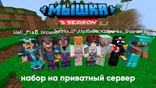 Mouse — Набор на приватный сервер Minecraft