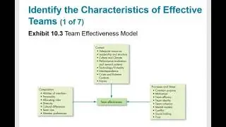 OB Chapter 10 Building Effective Teams