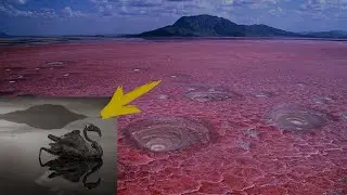 This lake turns all living things into stone.