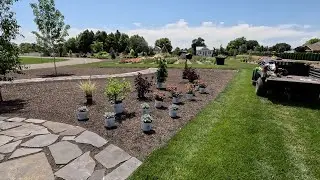 Planting Sun-Loving Shrubs and Perennials! 🌿💚🙌 // Garden Answer