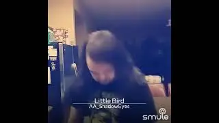 Casey - Little Bird (Vocal Cover)