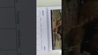 🇿🇦❣🇿🇦