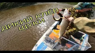 РЫБАЛКА НА ЩУКУ ИЮЛЬ 2023 ГОД ХОРОШИЙ УЛОВ