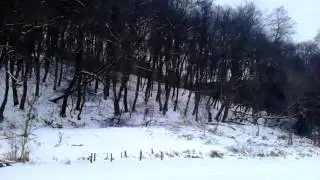 Красивый Барвинок зимой