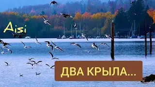 ✅Два Крыла...(2023)