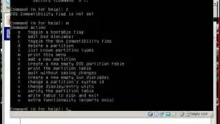 How to partition drives from Linux