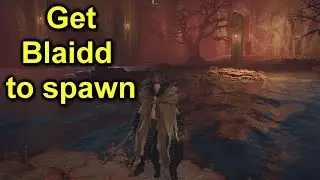 How to get Blaidd to spawn at Ainsel River and Rannis Rise