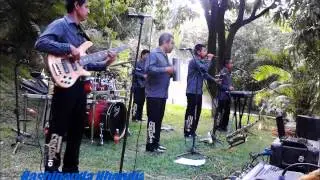 Grupo Contagio La Fiebre Musical De Mexico la puerta negra