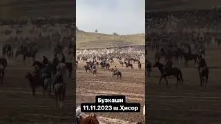Бузкаши 11.11.2023 дар ш.Хисор