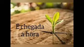 Recomece quantas vezes for preciso #reflexão #recomeçar #mensagem